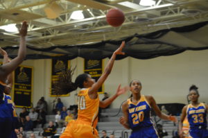 Junior guard Britani Stowe puts up a shot against New Haven on Saturday